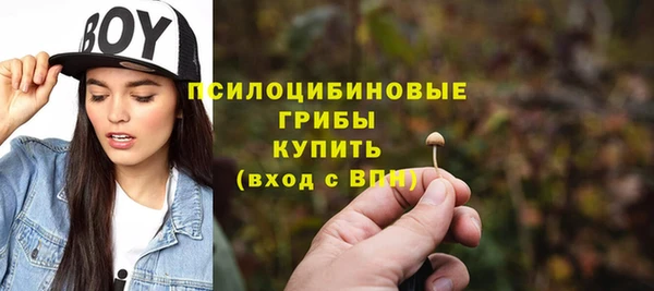ГАЛЛЮЦИНОГЕННЫЕ ГРИБЫ Зерноград