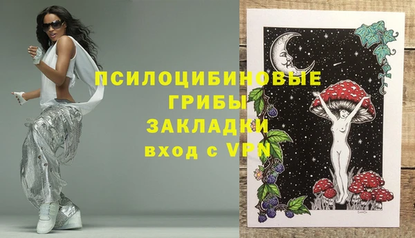 ГАЛЛЮЦИНОГЕННЫЕ ГРИБЫ Зерноград